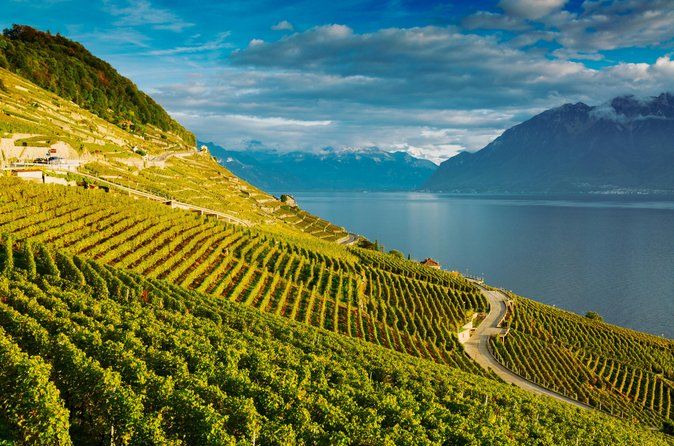 Lavaux Wine and Vineyard Experience with Boat Cruise