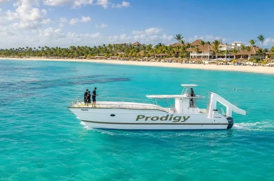 Punta Cana Catamaran Private Tour with BBQ and Natural Pool