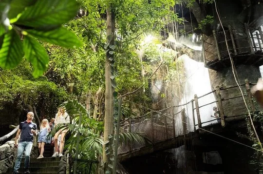 Gothenburg Universeum Ticket - Aquarium, Science, Wildlife, Zoo