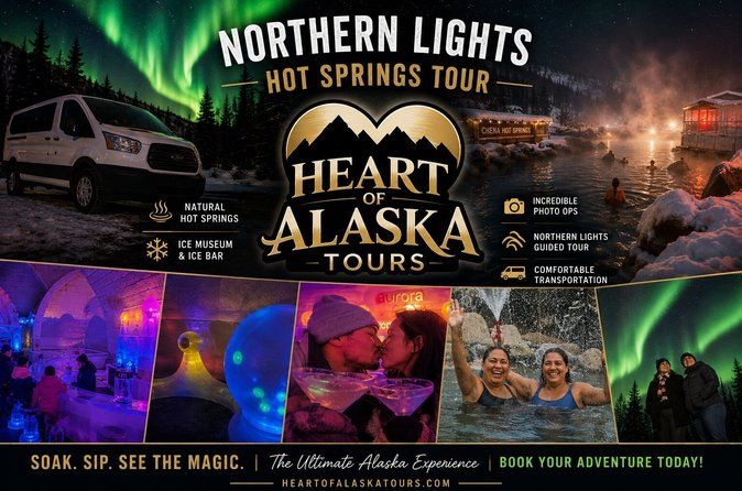 Spectacular Chena Hot Springs Northern Lights Experience