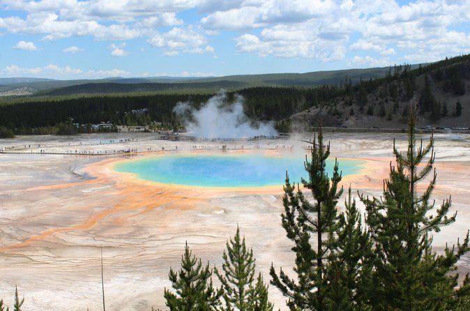 Yellowstone Full Day Lower Loop Van Tour