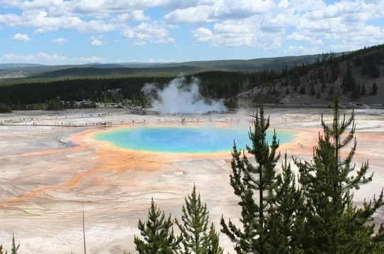 Yellowstone Full Day Lower Loop Van Tour