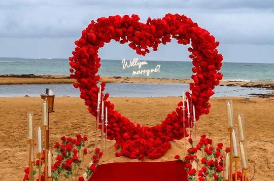 Luxury Proposal in Puerto Rico