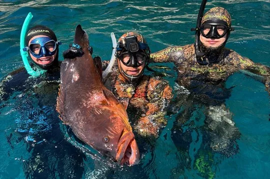 Ubåtfiske og snorkling i Capri-vannet