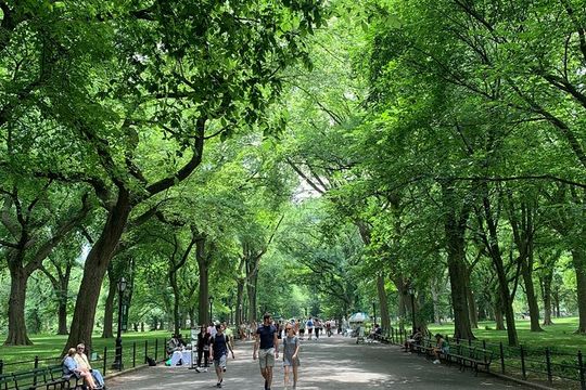 Central Park Private Pedicab Guided Tours