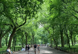 Central Park Private Pedicab Guided Tours