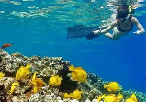 Kealakekua Bay Captain Cook Snorkel Adventure