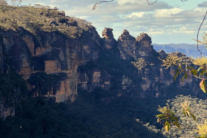 Blue Mountains and Australian Native Animals