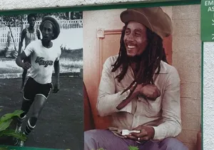 Bob Marley Museum from Montego Bay to Kingston Devon House Stop