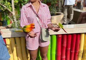 Bird & Animal Encounter in Montego Bay Feed,Hold & Snap Pics!