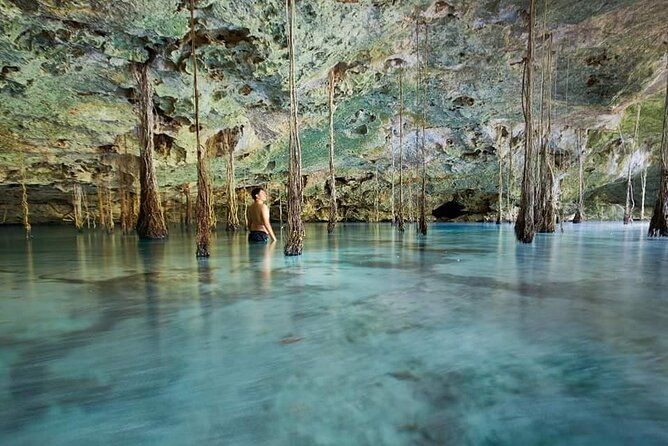 Private 4Cenote Experience, swim in the heart of the Mayan Jungle