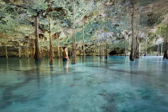 Private 4Cenote Experience, swim in the heart of the Mayan Jungle