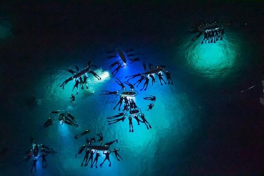 Manta Ray Night Snorkel Adventure
