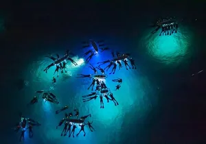 Manta Ray Night Snorkel Adventure