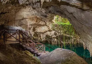 Admission Ticket to Cenotes Zapote EcoPark