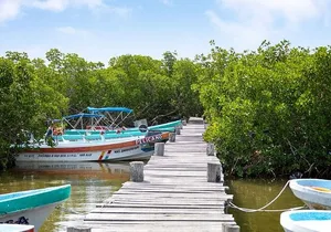 Sian Ka’an Reserve Tour with Boat Trip and Maya Village Visit
