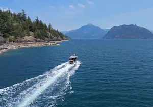 Vancouver UNESCO Biosphere Reserve Wildlife Scenic Boat Tour