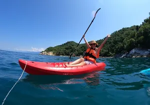 Half Day Tour with Snorkeling in Colomitos and Playa las Animas