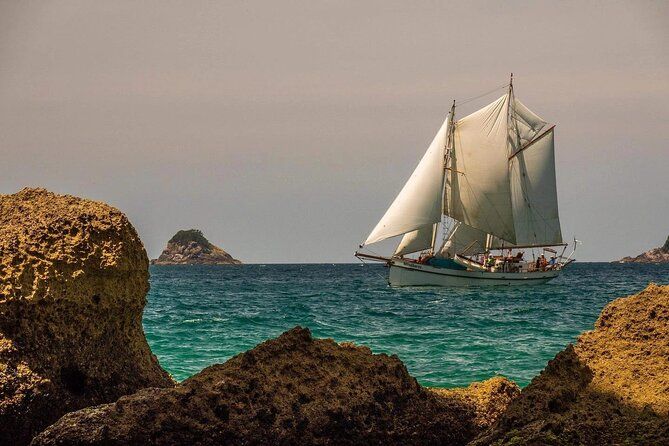 Bio Bay Tour Vieques – Full Clear Canoes Experience