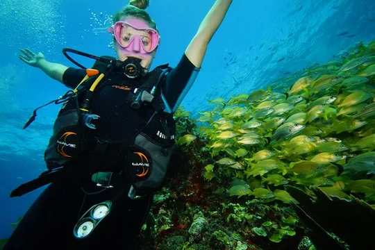 Two Reefs For Certified Divers in Cancun