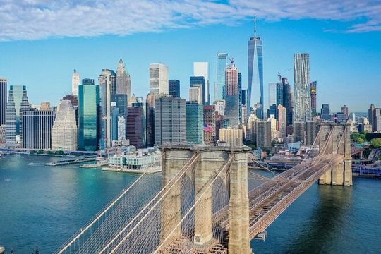 The Manhattan Bus and Walking Tour: Times Square to Battery Park