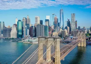 The Manhattan Bus and Walking Tour: Times Square to Battery Park