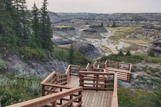 Customizable Private Drumheller Tour: Badlands Dinosaurs Museum