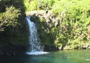 Private Road to Hana Rainforest & Waterfall Experience from Maui