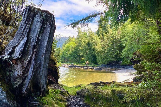 3-Hour Rainforest, Beach & Wildlife Walk