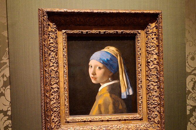 Private Guided City Tour of The Hague & Mauritshuis Museum Entry
