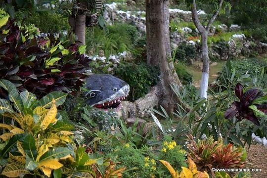 Ahhh Rasnatango Gallery and Garden