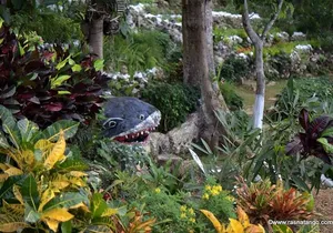 Ahhh Rasnatango Gallery and Garden