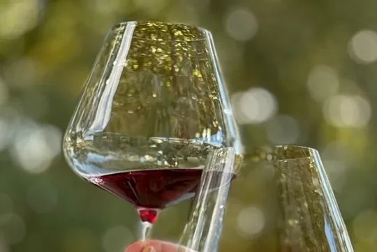 Orange NSW Wine Tour | Boutique Wineries & Cellar Door Experience