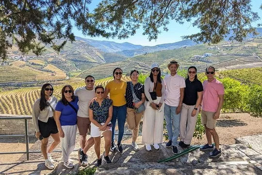 Douro Valley Half-Day Tour with Winery and Lunch From Porto