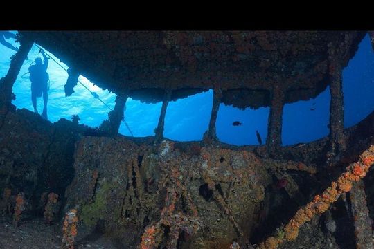 Waikiki’s Best Wreck And Reef Dive