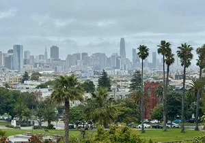 San Francisco Private City Tour in New EV Volkswagen Van