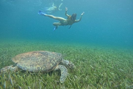 Cancun : All Inclusive Catamaran Tour to Isla Mujeres