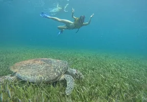 Cancun : All Inclusive Catamaran Tour to Isla Mujeres