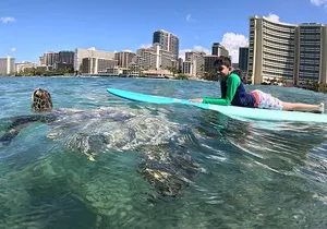 Private Surf Lessons in Waikiki