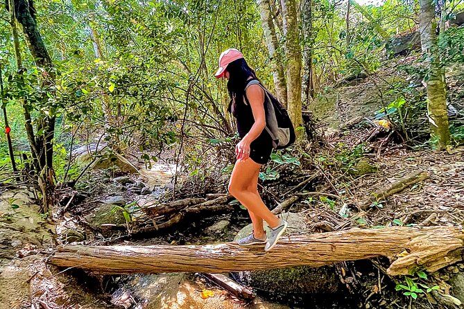 Hiking Adventure in Puerto Vallarta