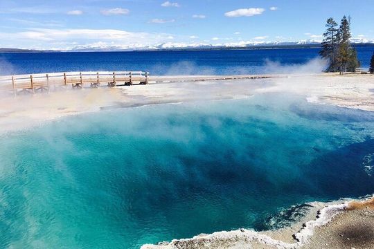 7-Day Tour in Yellowstone and Las Vegas From Salt Lake City