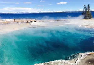 7-Day Tour in Yellowstone and Las Vegas From Salt Lake City