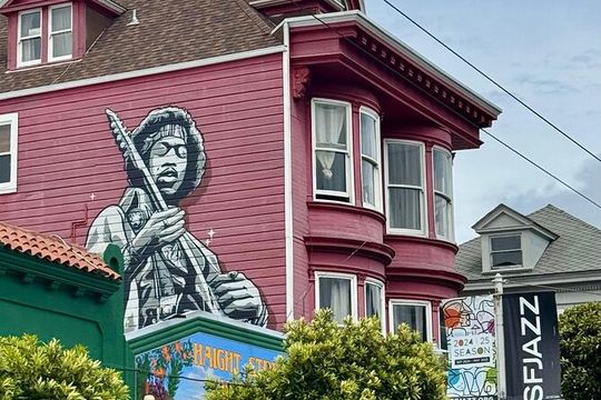 Bespoke San Francisco EV VW Van Experience