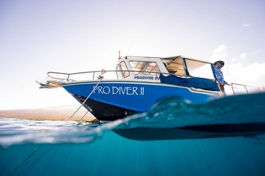 2-Tank Dive Featuring the Molokini Crater