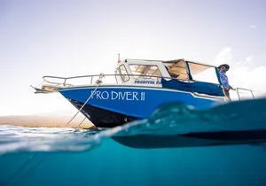 2-Tank Dive Featuring the Molokini Crater