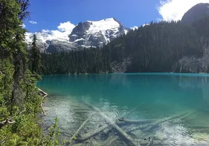 Small Group Joffre Lakes Hike and Whistler Day Trip