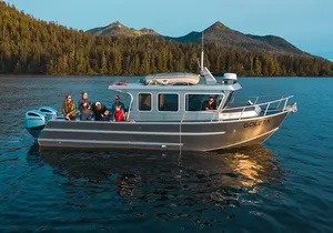 A Comfortable Sitka Whale Watching Wildlife Shore Excursion