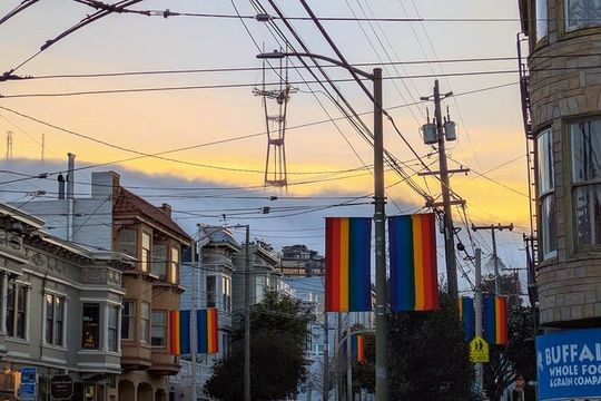 San Francisco City Tour in EV Volkswagen Van