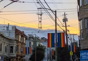 San Francisco City Tour in EV Volkswagen Van