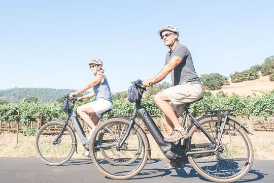 Vine Trail Discovery E-Bike Tour